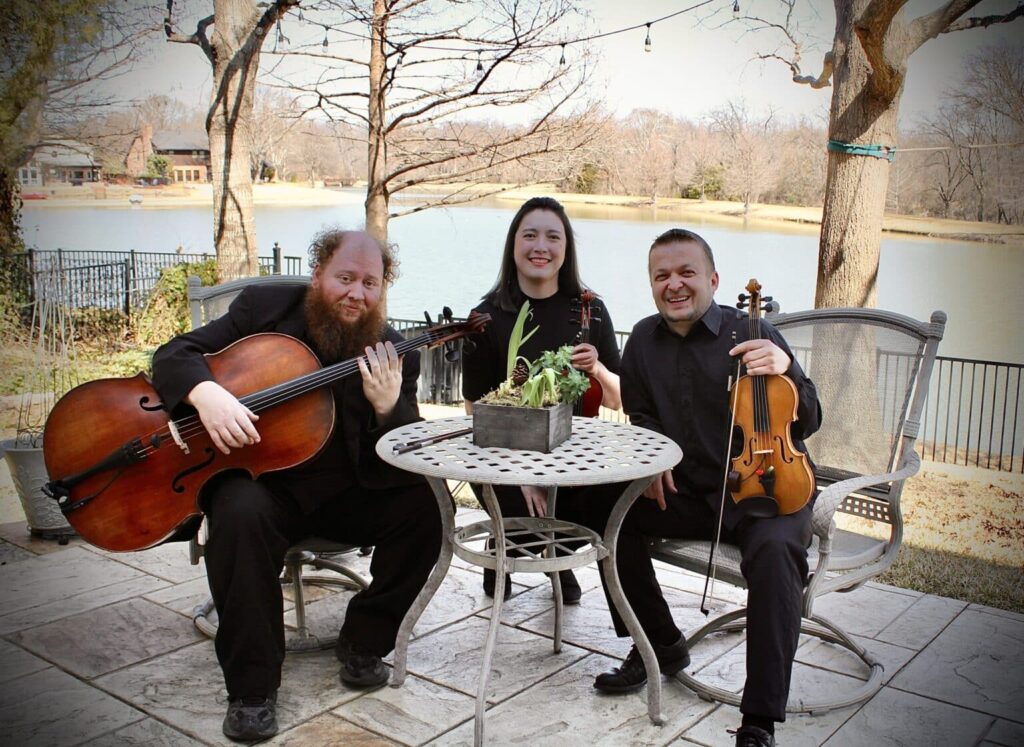 Jazz String Trio
